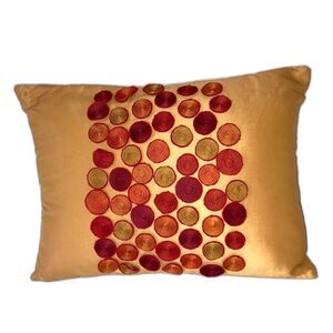 PIER 1 Concentric Circles Applique Decorative Accent Pillow 18 x 12 x 4 inches